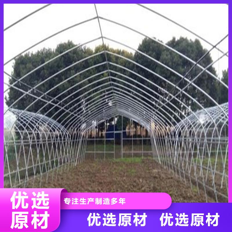 蔬菜大棚與連棟大棚 高效農業的現代化選擇